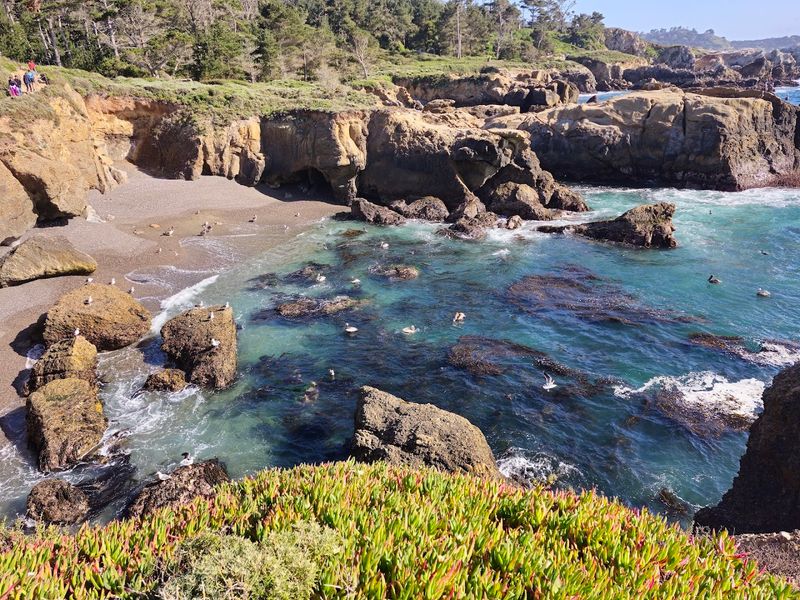 A World-Class Scuba Diving Destination