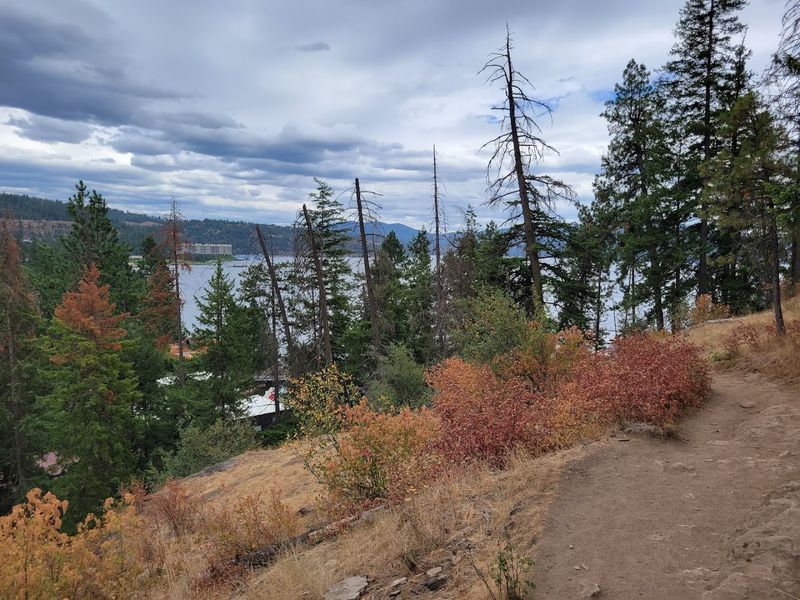 Earn Your Dinner After Hiking