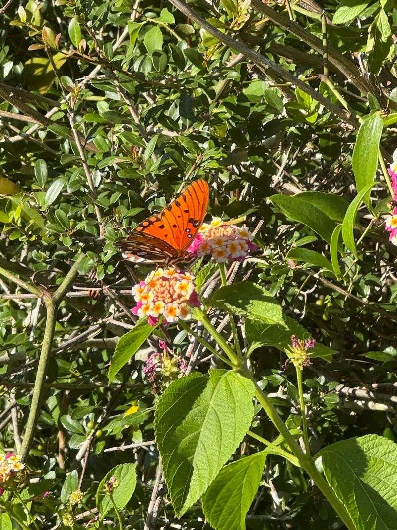 National Estuarine Research Reserve