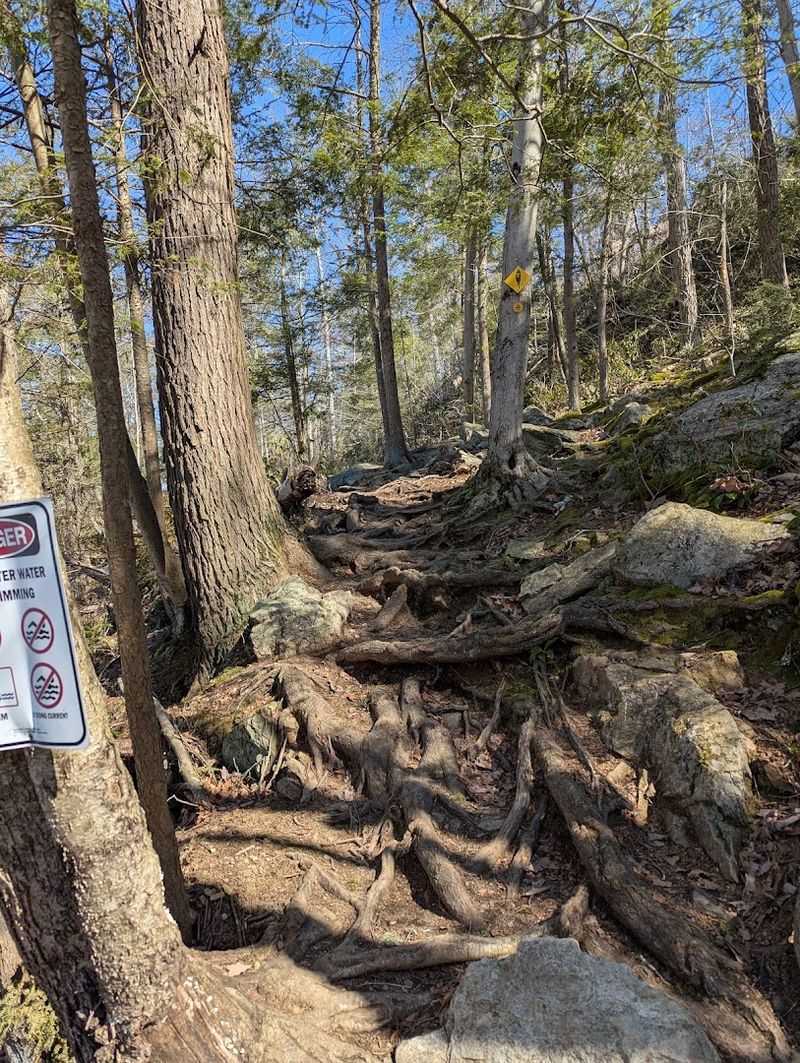 Trail Variety That Covers Every Skill Level