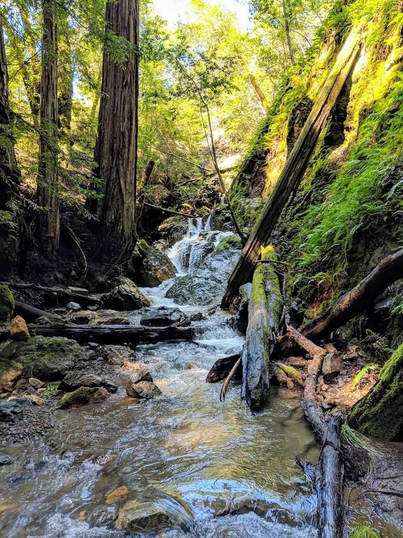 Trails Range From Easy Flat Walks To Challenging Uphill Climbs