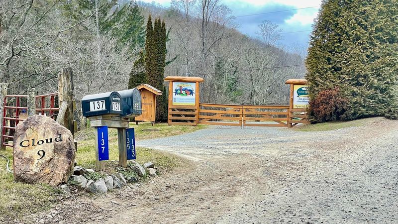 North Carolina Farms Where Egg Collecting Feels Like An Adventure - Decor Hint Cloud 9 Farm, Fletcher