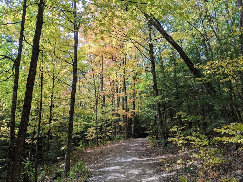 A Peaceful Adventure For Nature Lovers