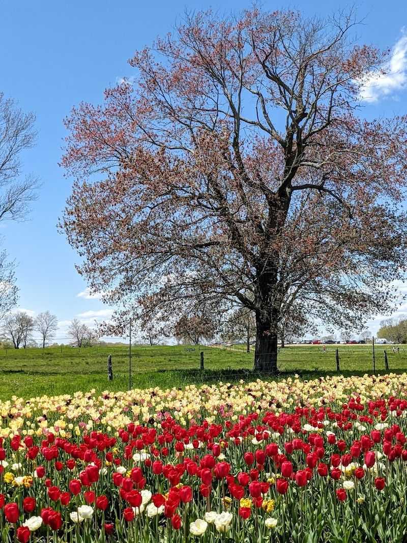 Family-Friendly Fun In The Fields