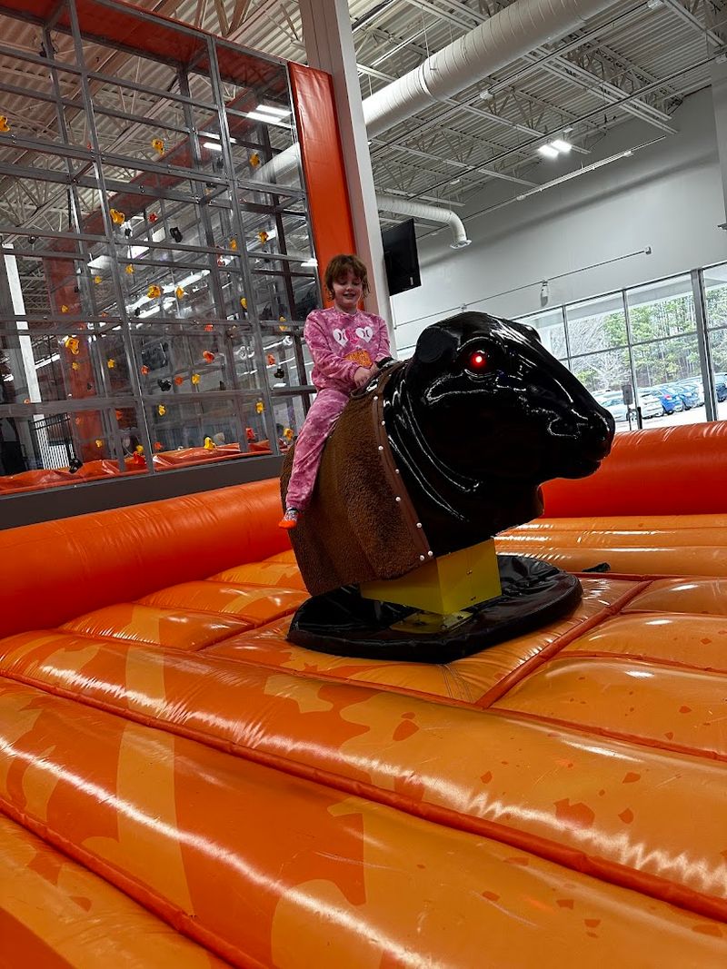 The Bull Riding Attraction