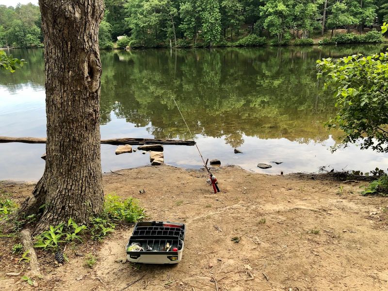 The Lake Changes Everything