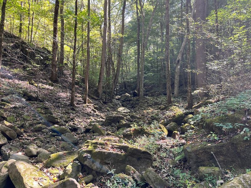 Trails That Challenge You