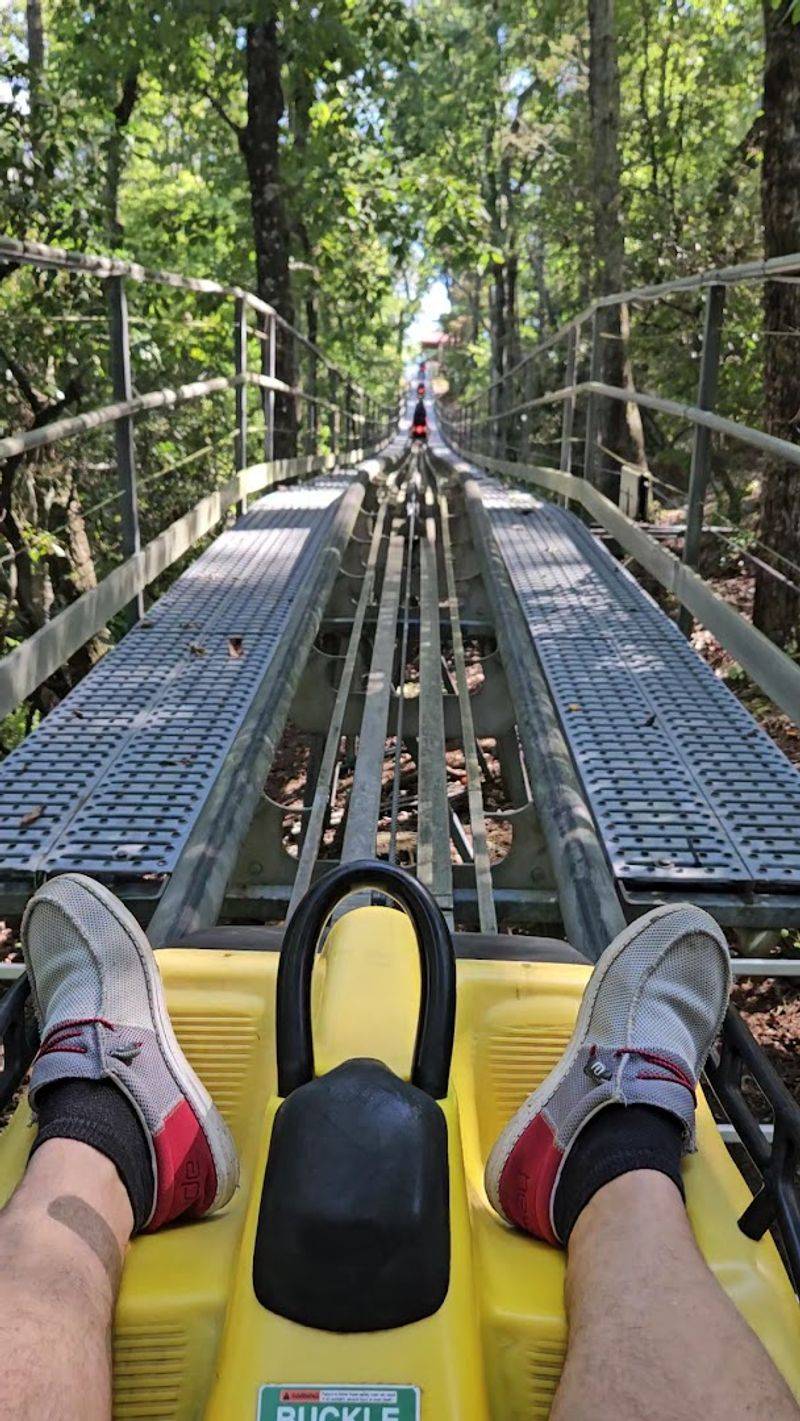 You Can Adjust The Speed To Match Your Comfort Level