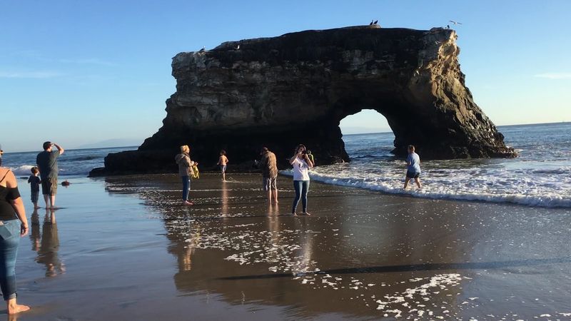 California's Strangest Beach Town Is Actually The Most Charming Place Ever - Decor Hint Monarch Butterflies Turn the City Into Something Truly Unusual Each Winter
