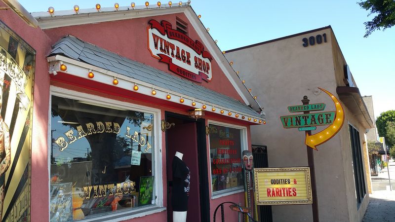 Magnolia Park Neighborhood Context That Makes The Whole Trip Worth Planning