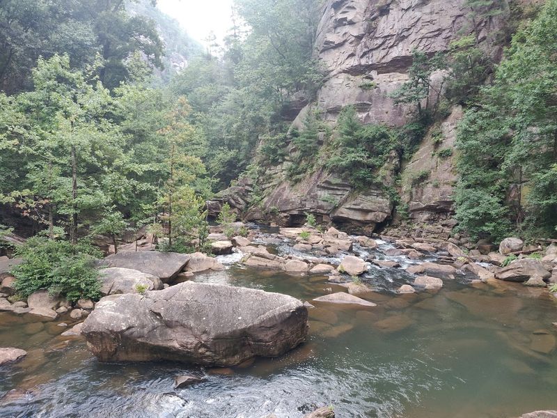 Surrounded by Over 1,100 Acres of Wooded Campus