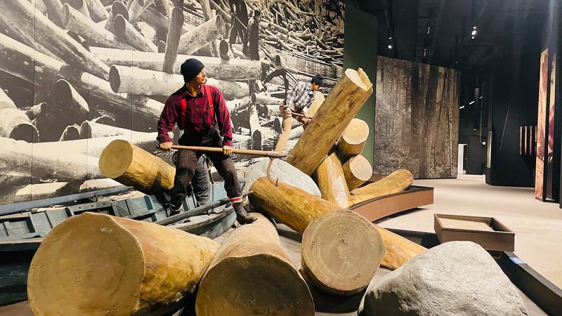 Reasons This New York Museum Deserves Way More Of Your Time Than You Planned To Give It - Decor Hint The Life-Size Dioramas