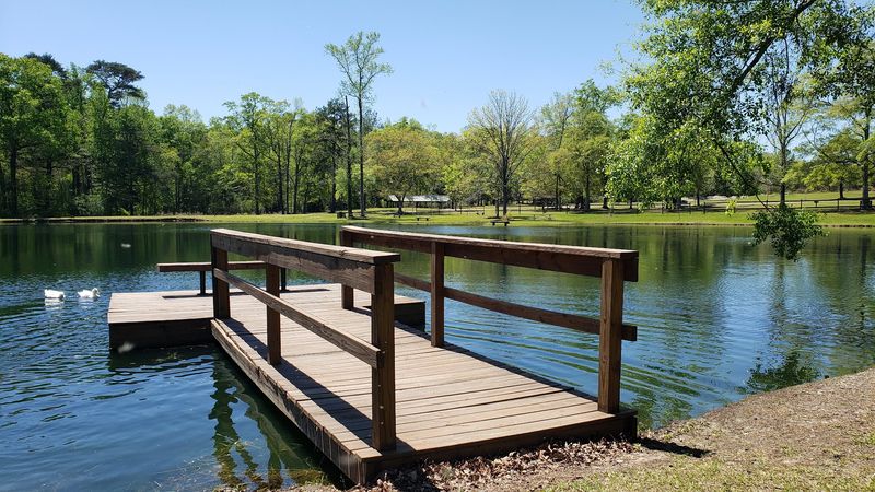 The Creek And Warm Water Zone