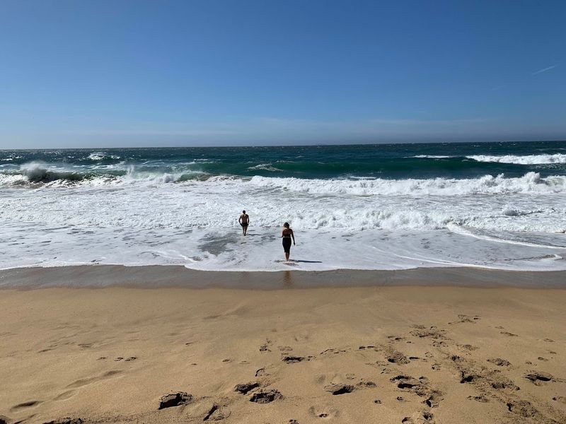 Spring Turns The Cove Into A Full Coastal Outing