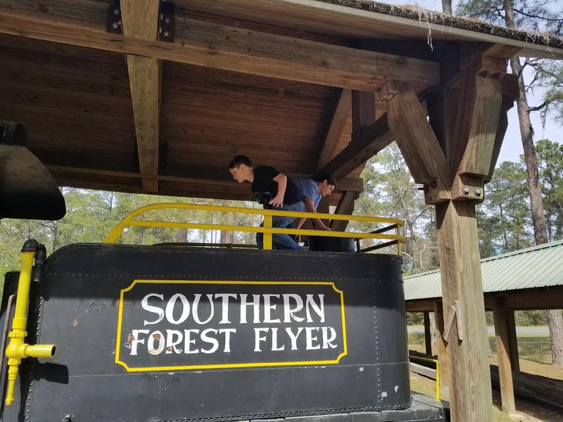 Historical Logging Equipment on Display