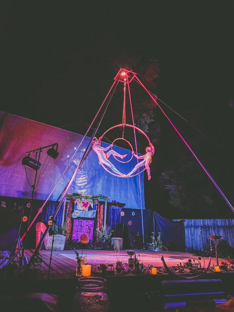 Live Concerts And Performances At The Library