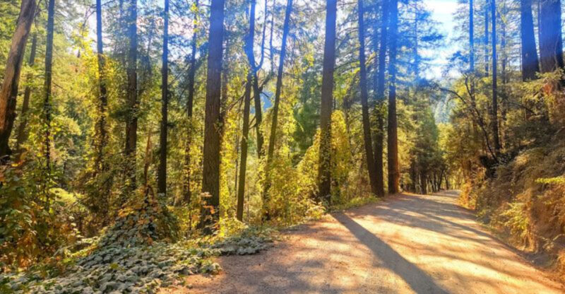 The Overlooked State Park In California You’ve Probably Never Heard Of