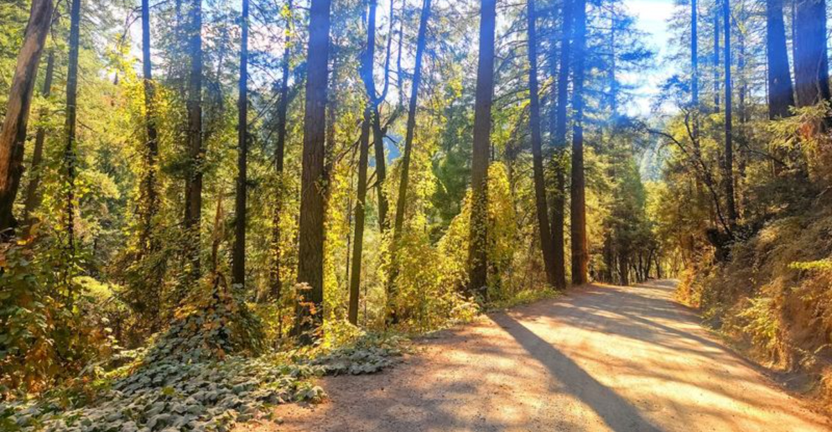 The Overlooked State Park In California Youve Probably Never Heard Of - Decor Hint