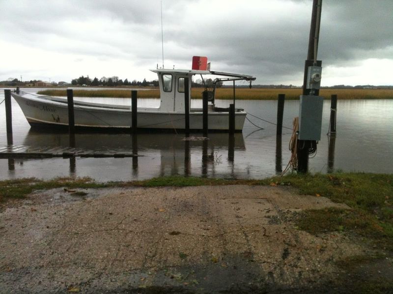 The Village You Never Knew You Needed