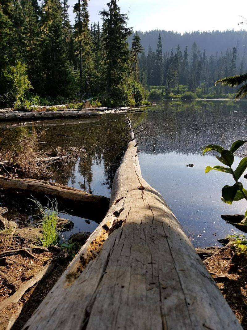 There Is More To Do Than Simply Look Around