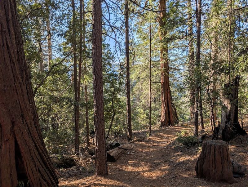 28 Miles Of Hiking Trails Wind Through The Park