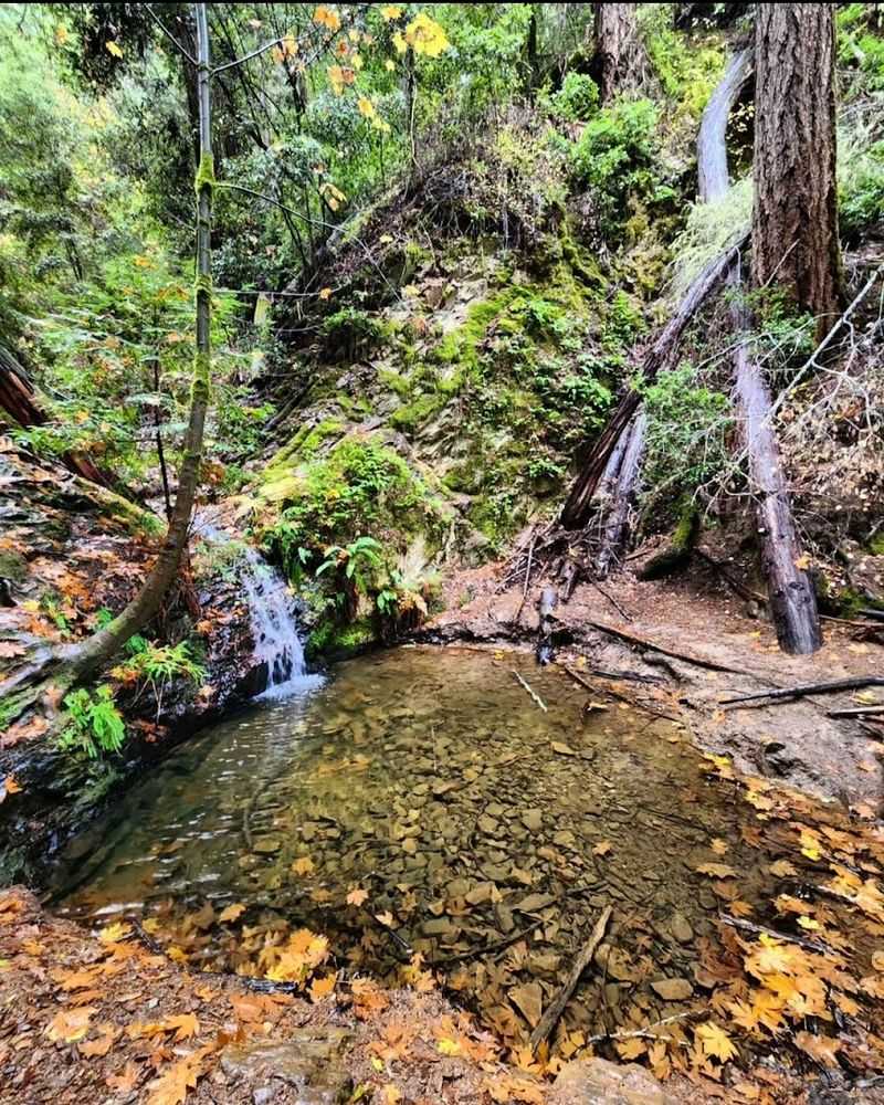 Tiptoe Falls and the Creek Corridors Add a Different Kind of Beauty