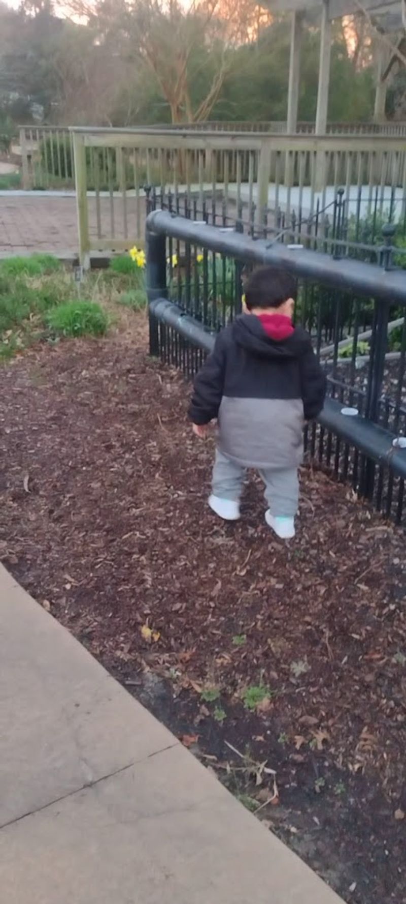 Children's Secret Garden Magic