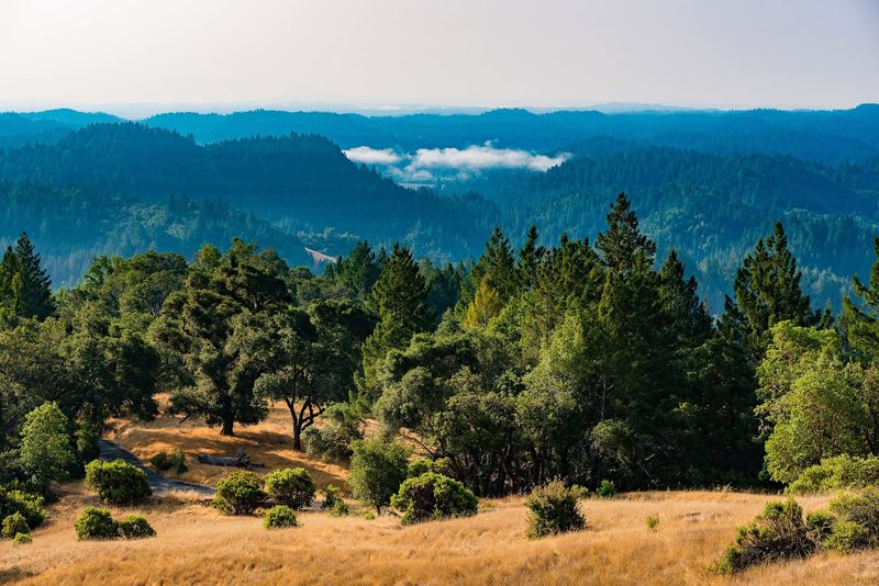 The Reserve Is Open Daily From 8 AM To One Hour After Sunset