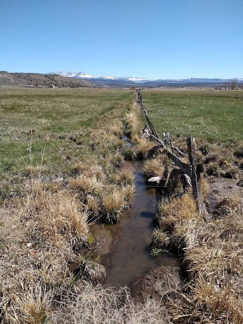 A Climate That Keeps Things Real