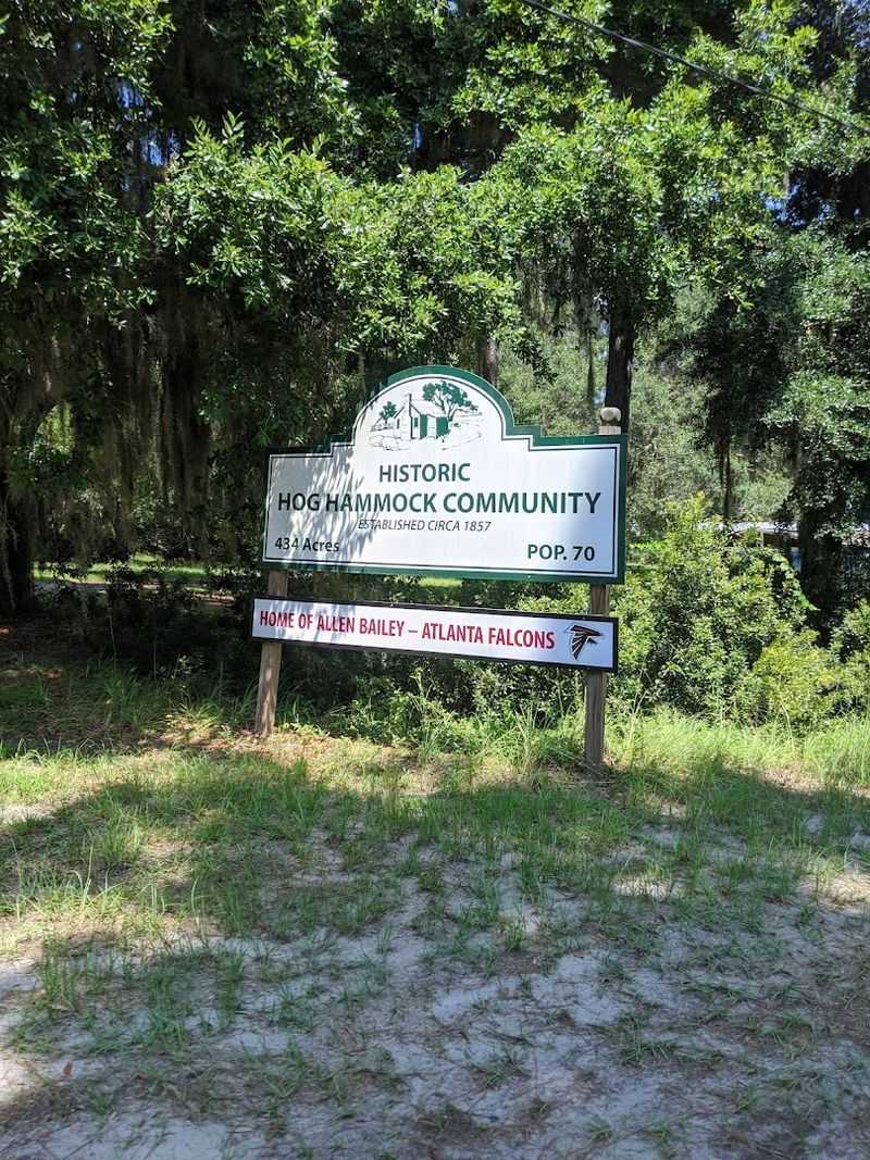 The Hog Hammock Community
