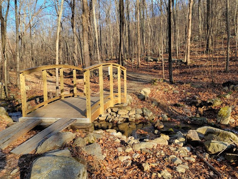 Year-Round Access Makes Every Season Worth Showing Up