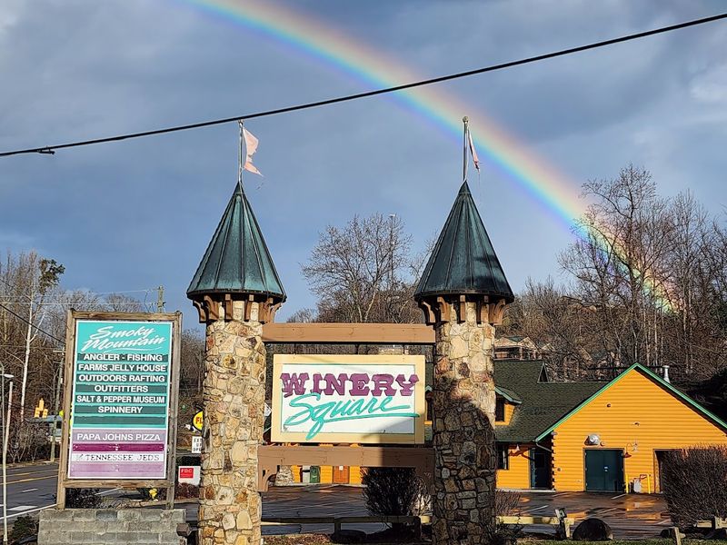 Why Gatlinburg Is The Perfect Home For This