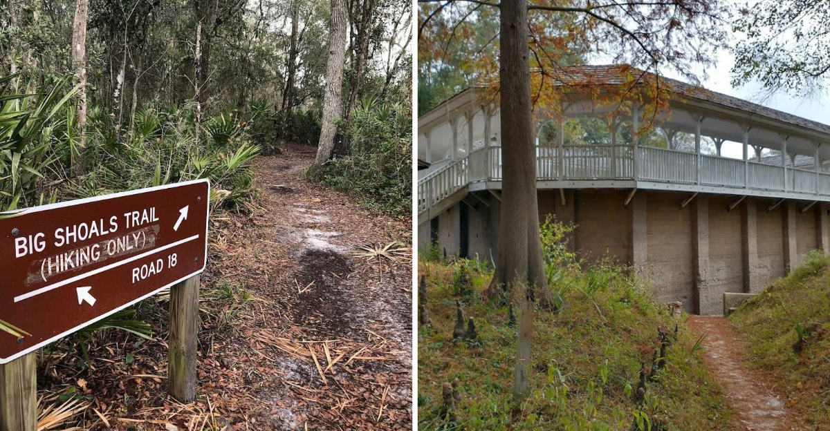 The Reason Behind This Forgotten North Floridas Suwannee River Towns Timeless Reputation 2 - Decor Hint