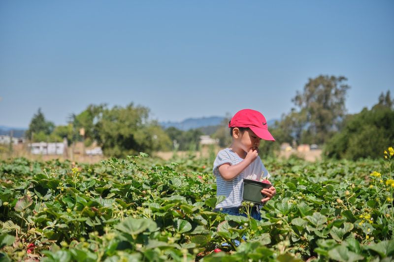 Planning a Visit: Practical Details Worth Knowing