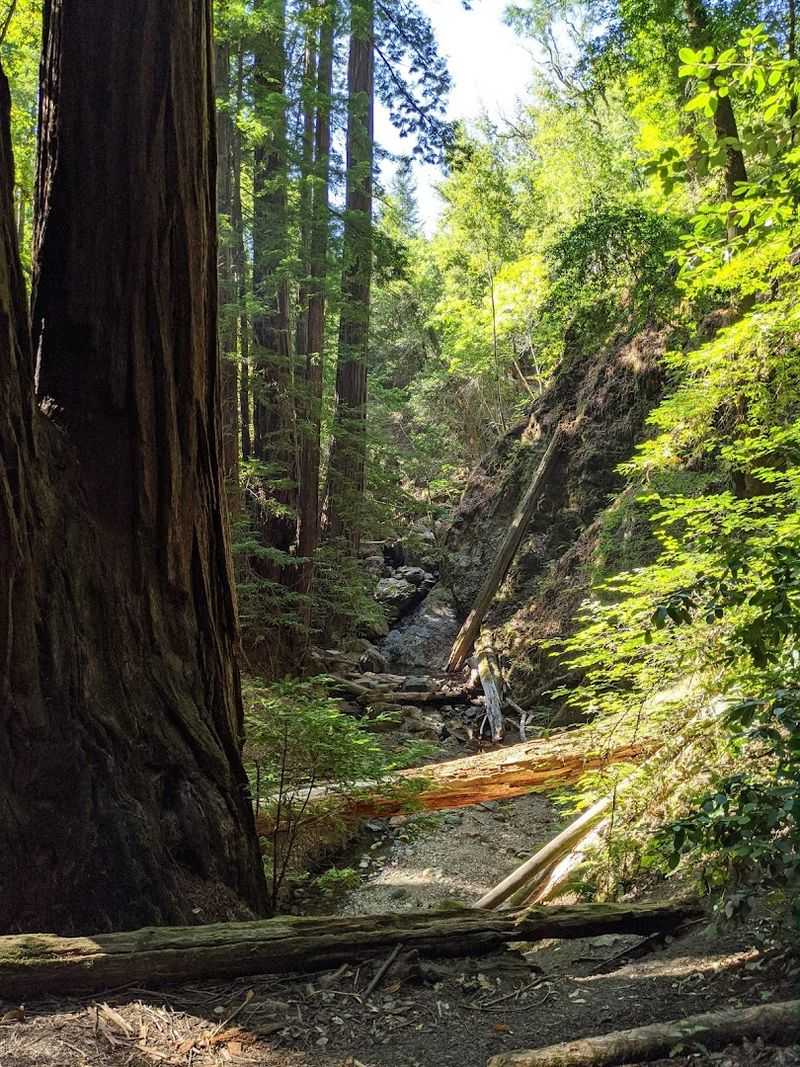 The Reserve Was Established In 1934 And Named After A Lumber Pioneer