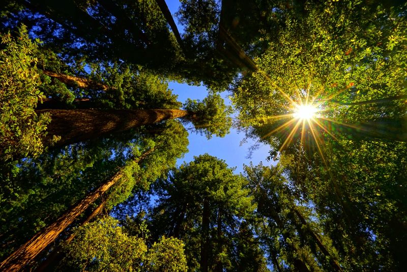 Entry Costs $10 Per Vehicle And $9 For Seniors