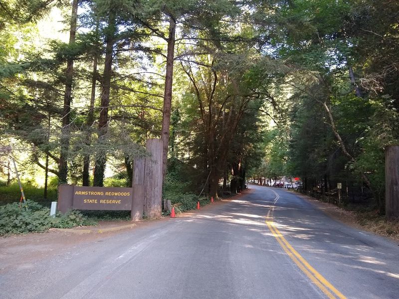 Dogs Are Allowed In Developed Areas But Not On The Trails