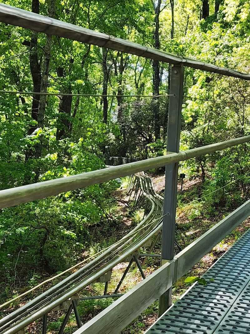 It Is Easy To Pair With A Scenic North Georgia Drive