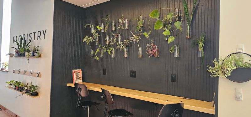 15 Coffee Shops In New York Where Digital Nomads Actually Get Their Best Work Done - Decor Hint Botanist Coffeehouse
