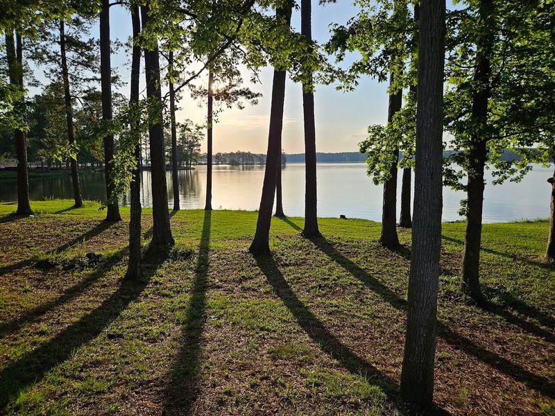 Lake Martin is the real star here