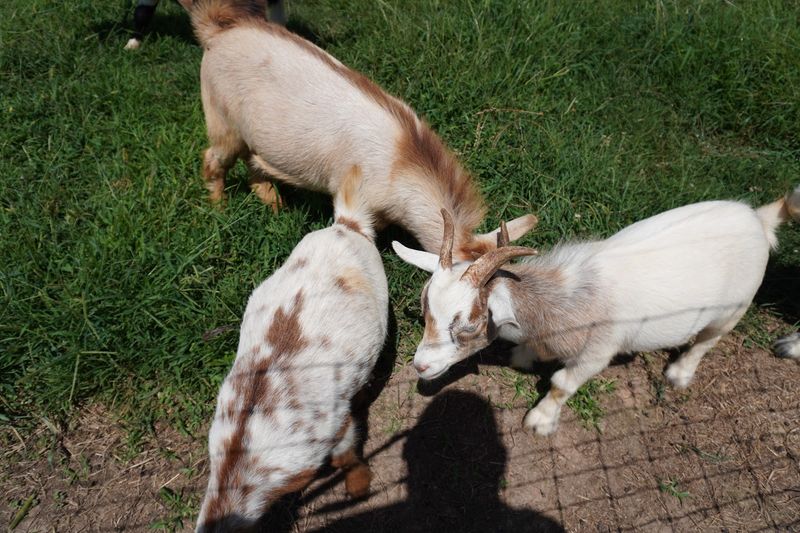 It Works For A Date Without Feeling Too Formal