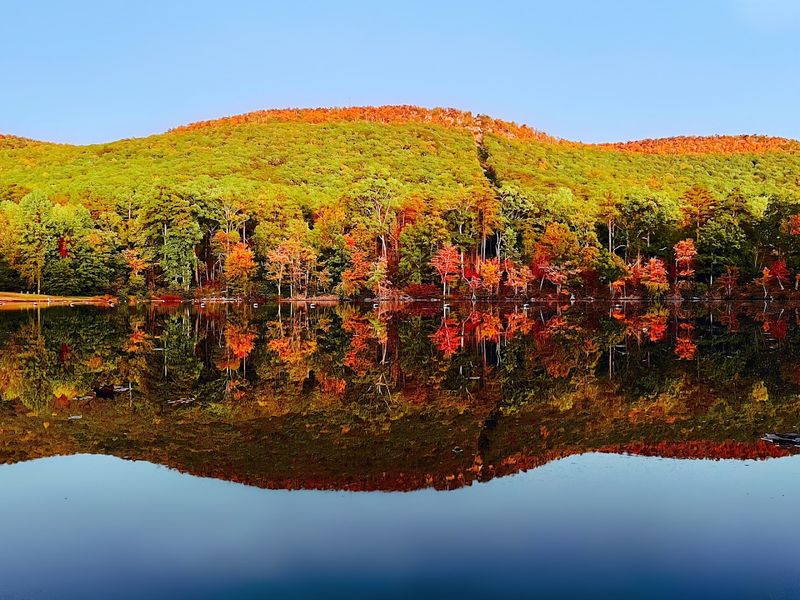 Wildlife And Nature Watching