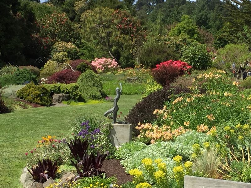 Mendocino Coast Botanical Gardens: Where Coastal Beauty Gets Organized
