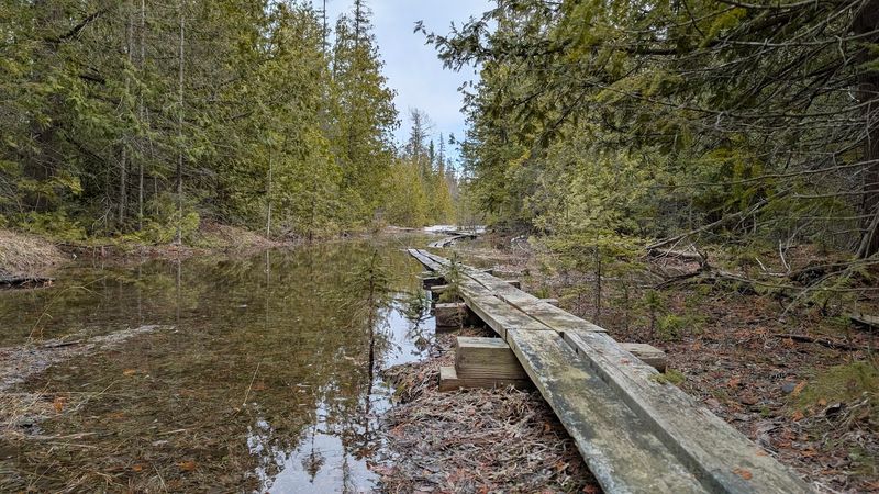 Hiking Trails Through Scrub Forest And Cedar Wetlands