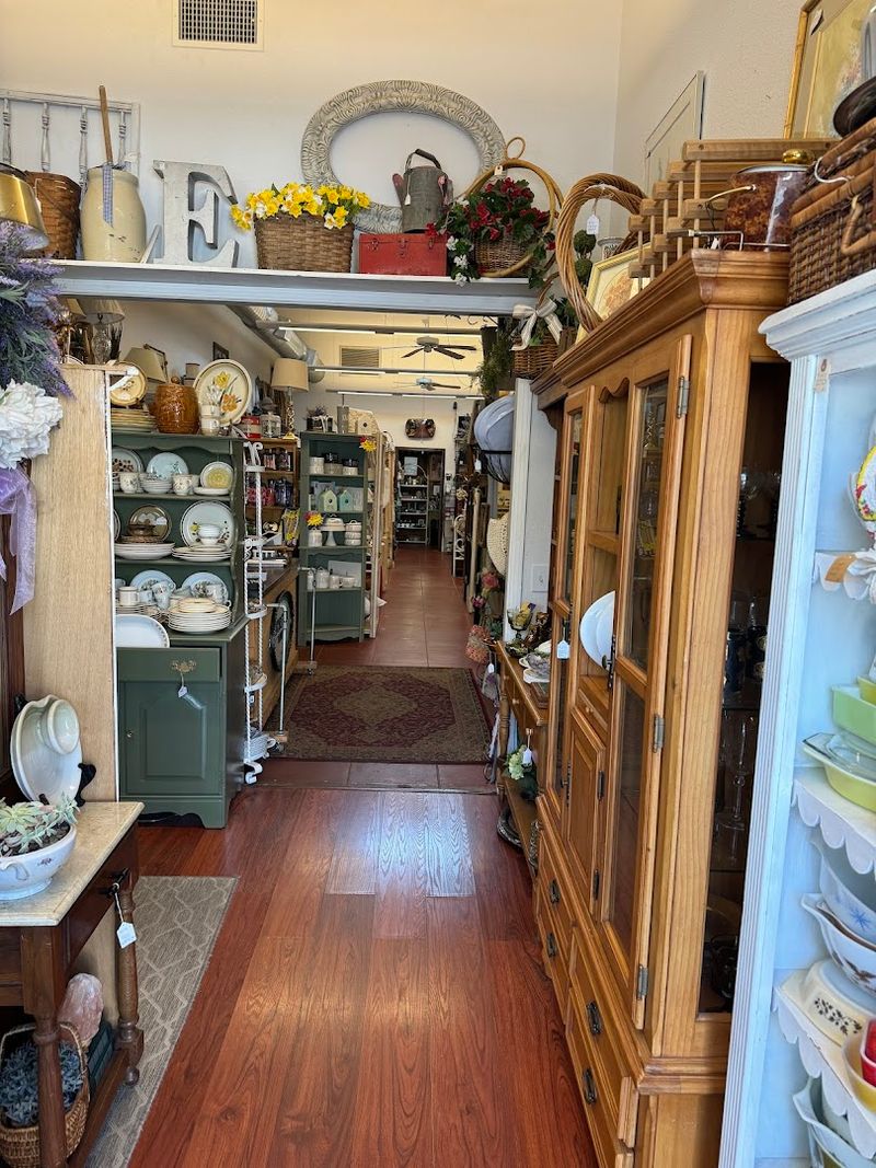 Store Hours And Practical Tips For Planning Your Visit