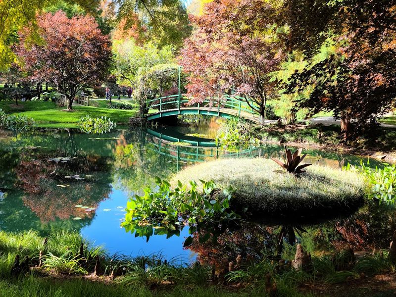 The Japanese Garden In Fall