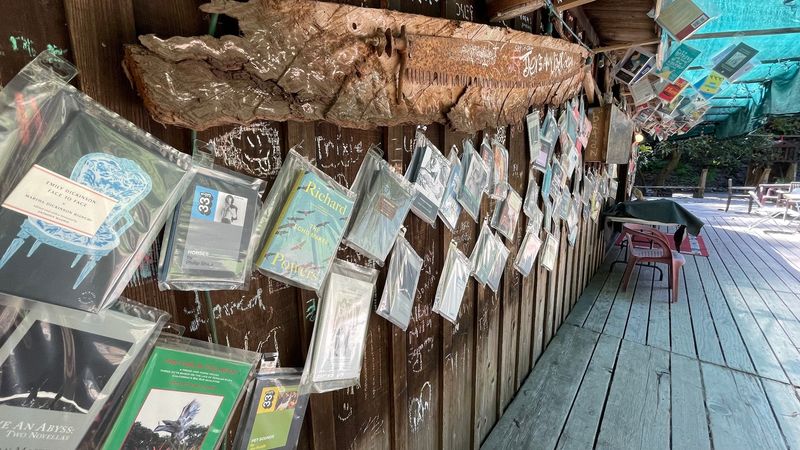 The Bookstore Collection and What Makes It Unique