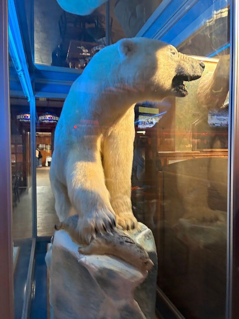 An Extraordinary Wildlife Display