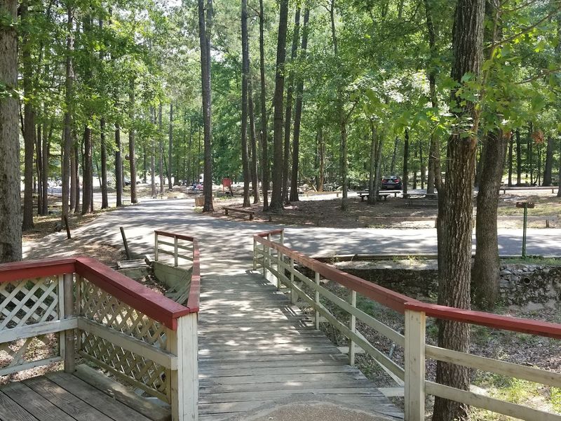 How The Cave Was Discovered And Opened To The Public
