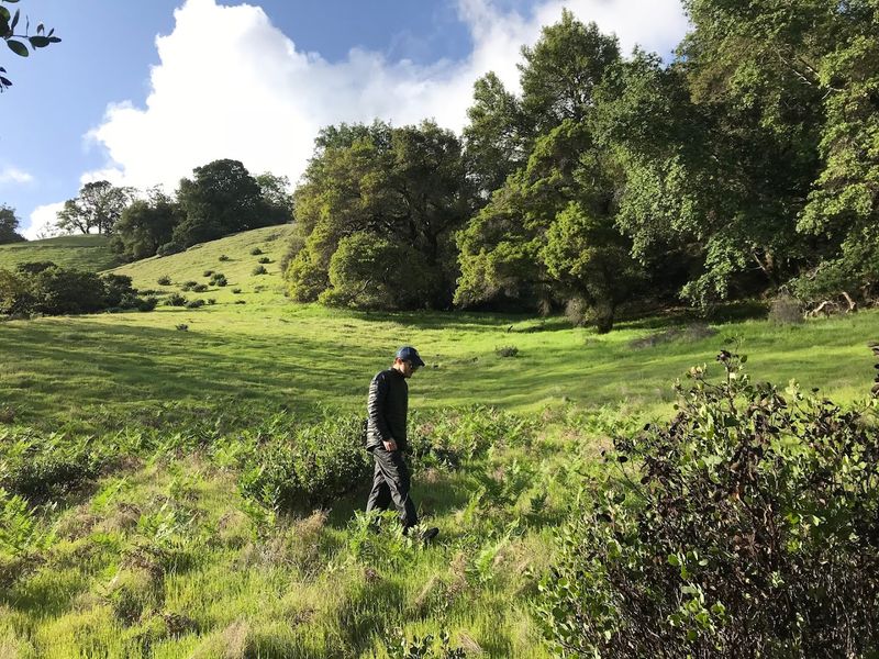 Wildlife Sightings At Austin Creek Are Genuinely Impressive